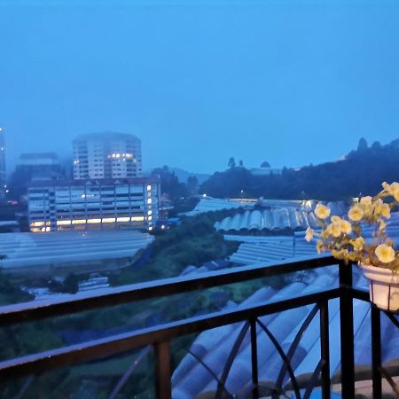 Dzulstudio Nova Highland 伯恩仓 外观 照片